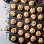 Chocolate Chip Oatmeal Mini Muffins Recipe compressed image1