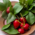 Costa Rican Sorrel Wine compressed image1