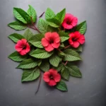 Hibiscus Mint Tea compressed image1