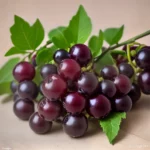Prosecco Grapes compressed image1