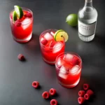 Raspberry Lime Gin and Tonic compressed image1