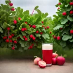 Rhubarb Juice Recipe compressed image1