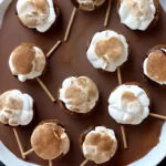 Smores Breakfast Pops compressed image1