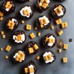 Smores Fireball Shots compressed image1