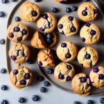 Vegan Blueberry Muffins compressed image1