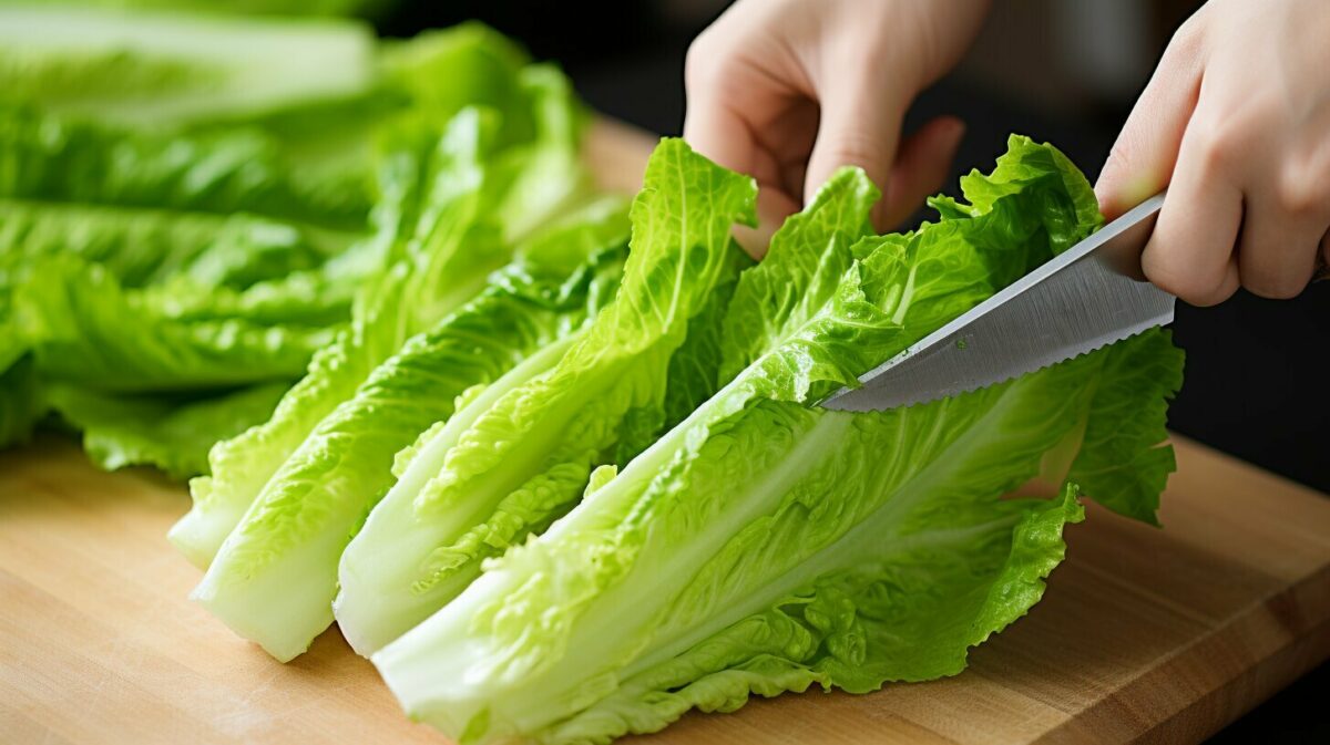 cutting romaine lettuce
