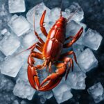 how to freeze lobster