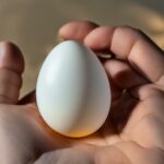 how to tell if an egg is boiled