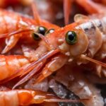 how to tell if shrimp is bad