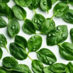 how to tell if spinach has gone bad